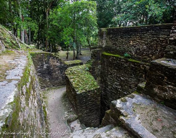 Cahal Pech Birdwatching Tour