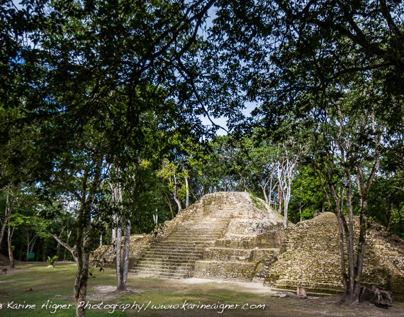 Cahal Pech Birdwatching Tour