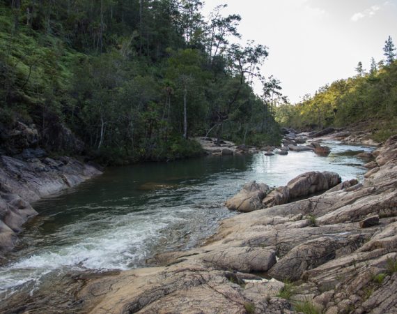 Belize Mountain Pine Ridge Tour