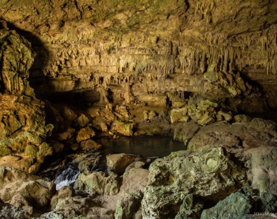 Belize Mountain Pine Ridge Tour