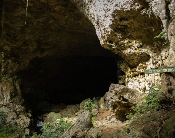 Rio Frio Cave- Mountain pine ridge tour