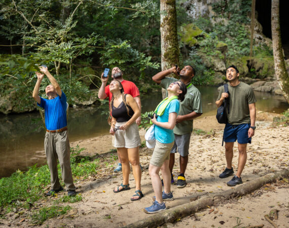 Rio Frio Cave- Mountain pine ridge tour