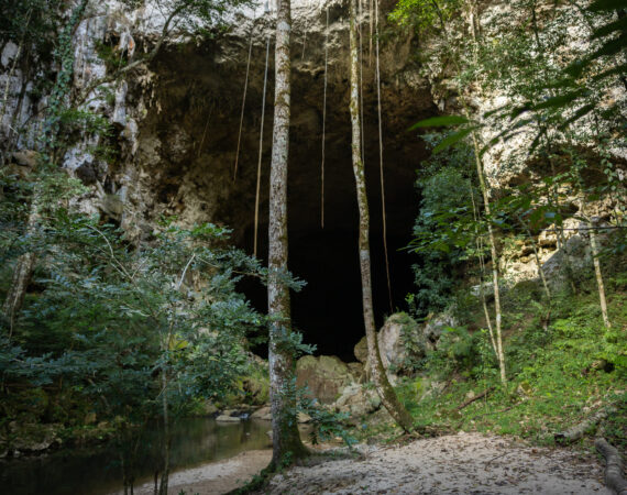 Rio Frio Cave- Mountain pine ridge tour