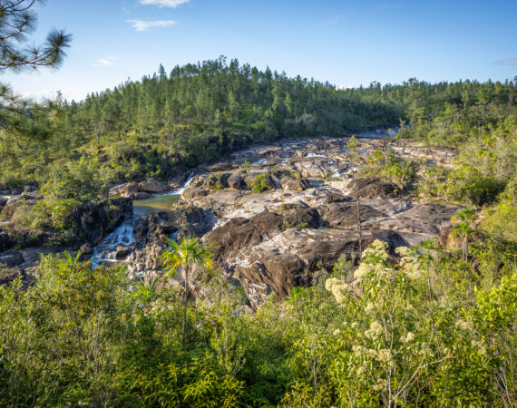 Mountain Pine Ridge Tour