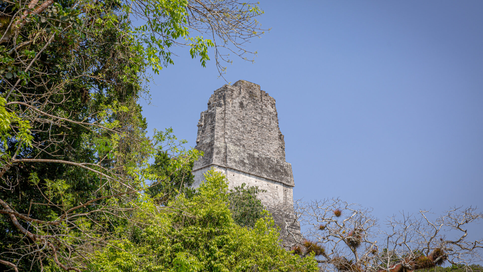 Tikal Maya Site Tour