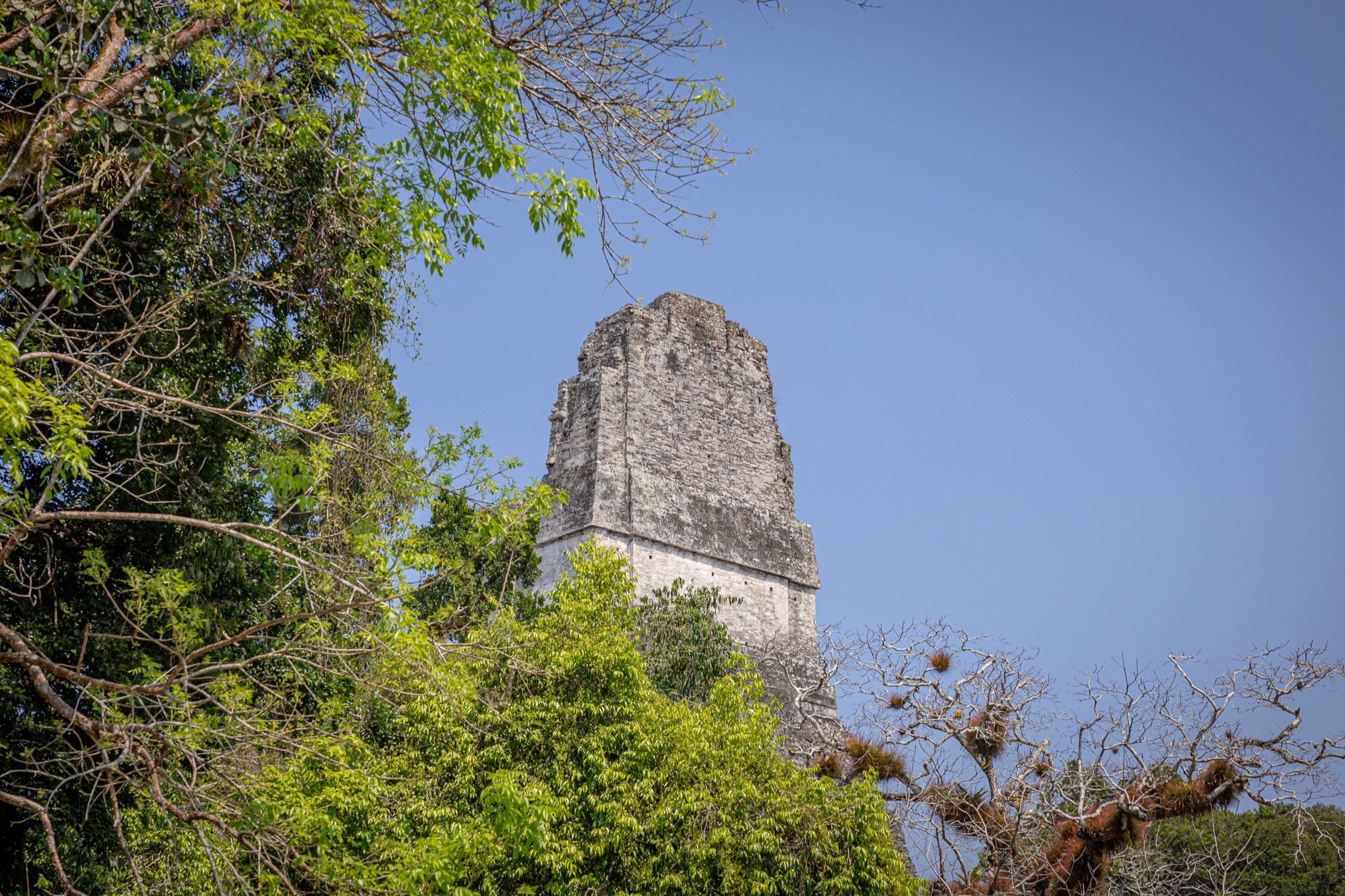 Tikal Maya Site Tour