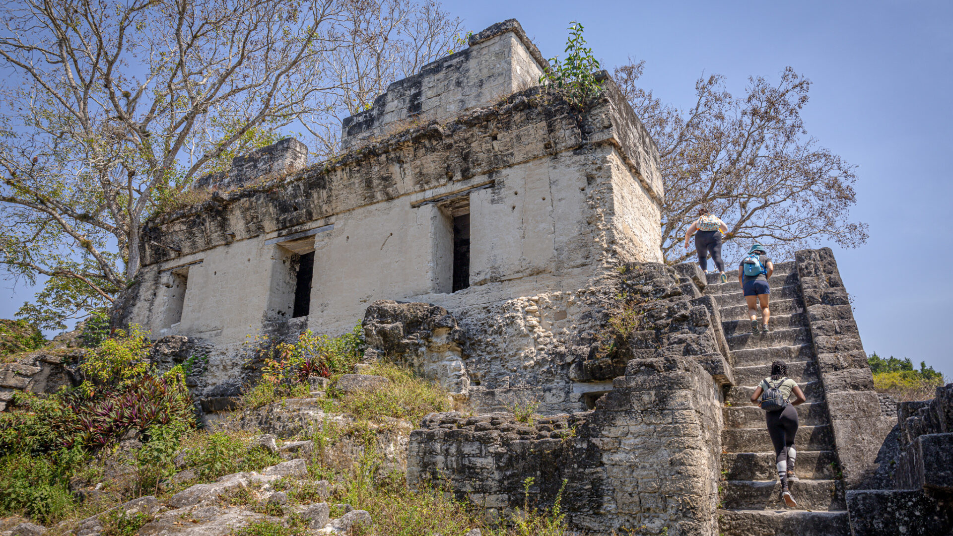 Tikal Maya Site Tour