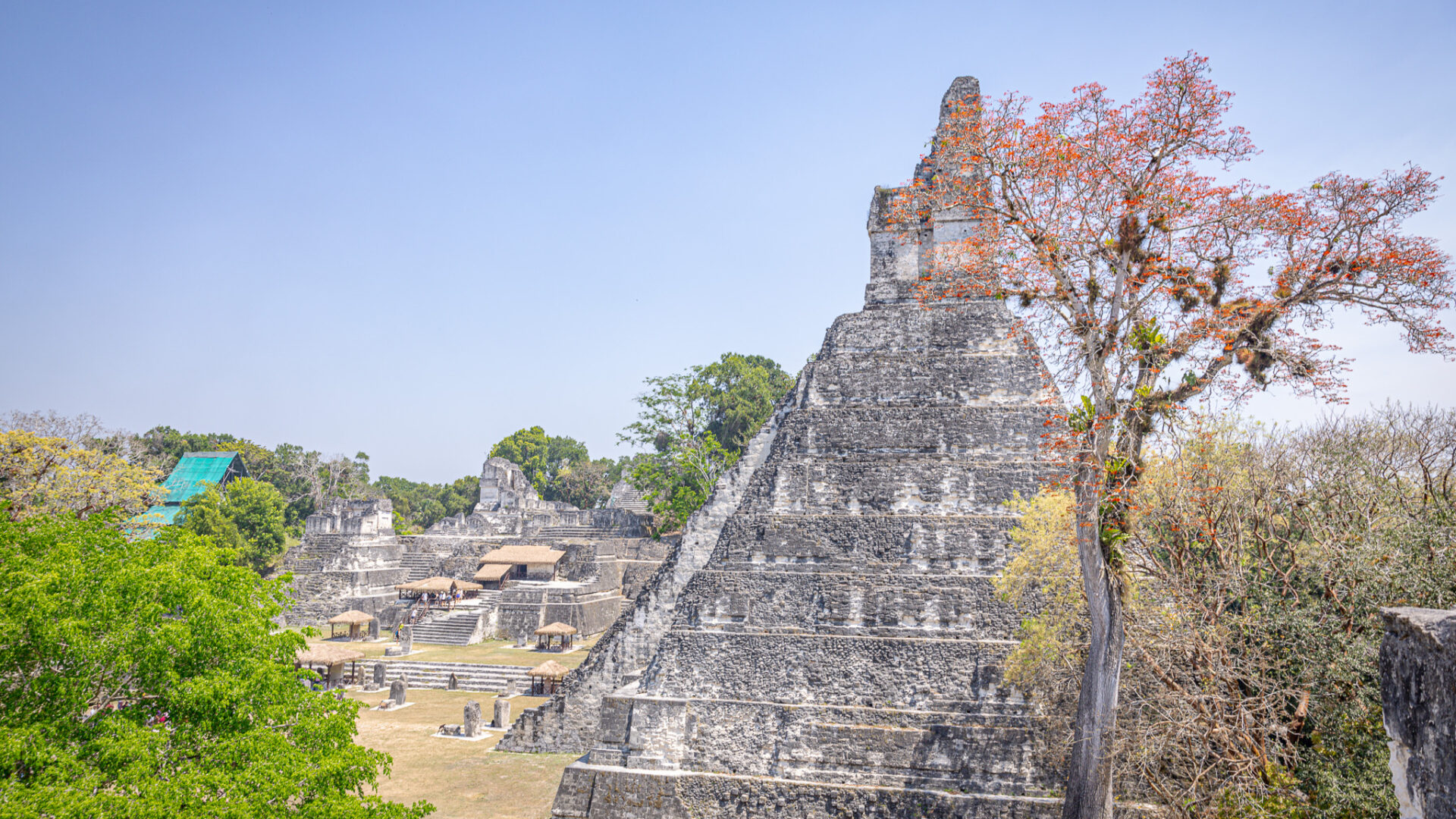 Tikal Maya Site Tour