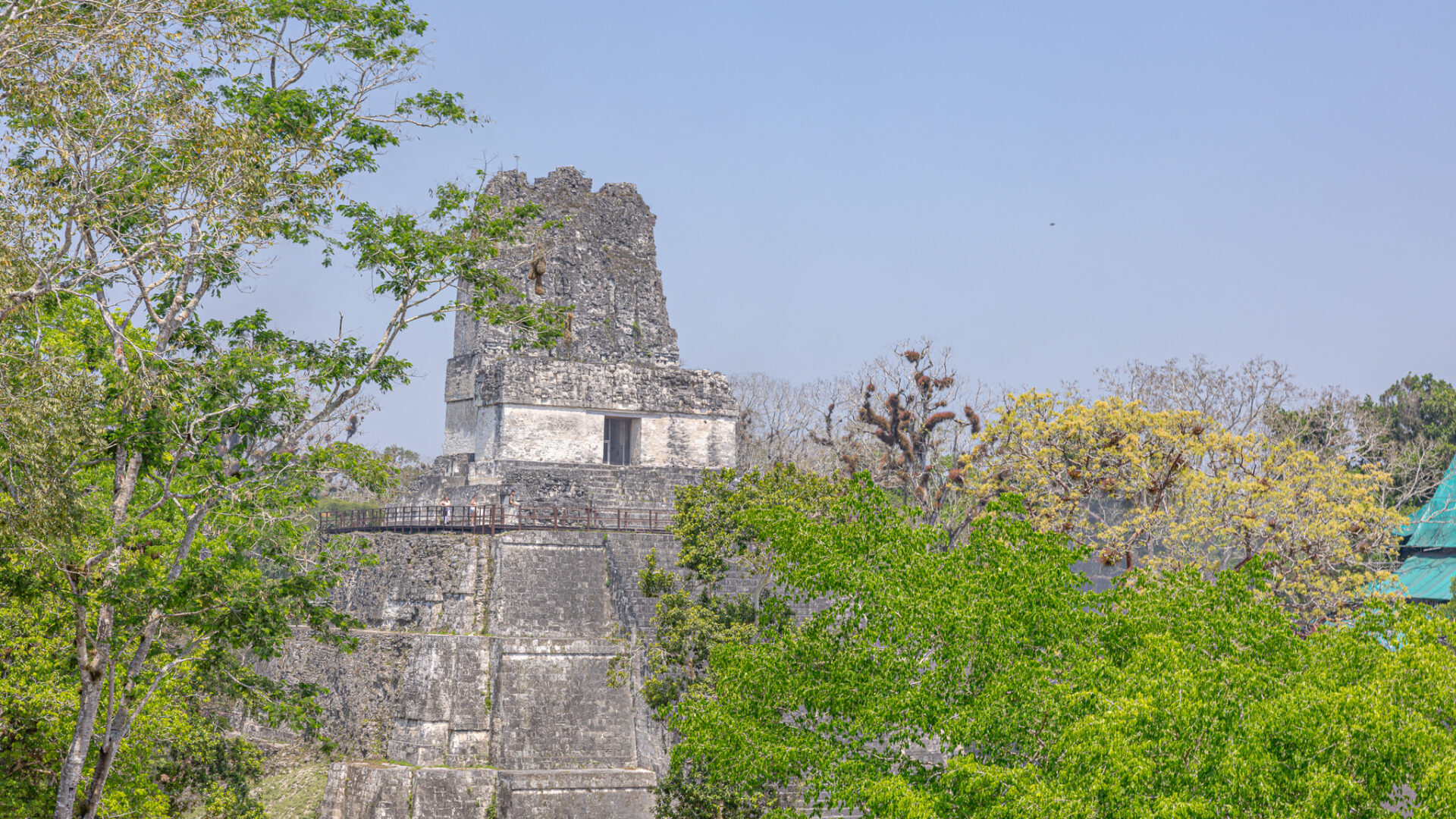 Tikal Maya Site Tour