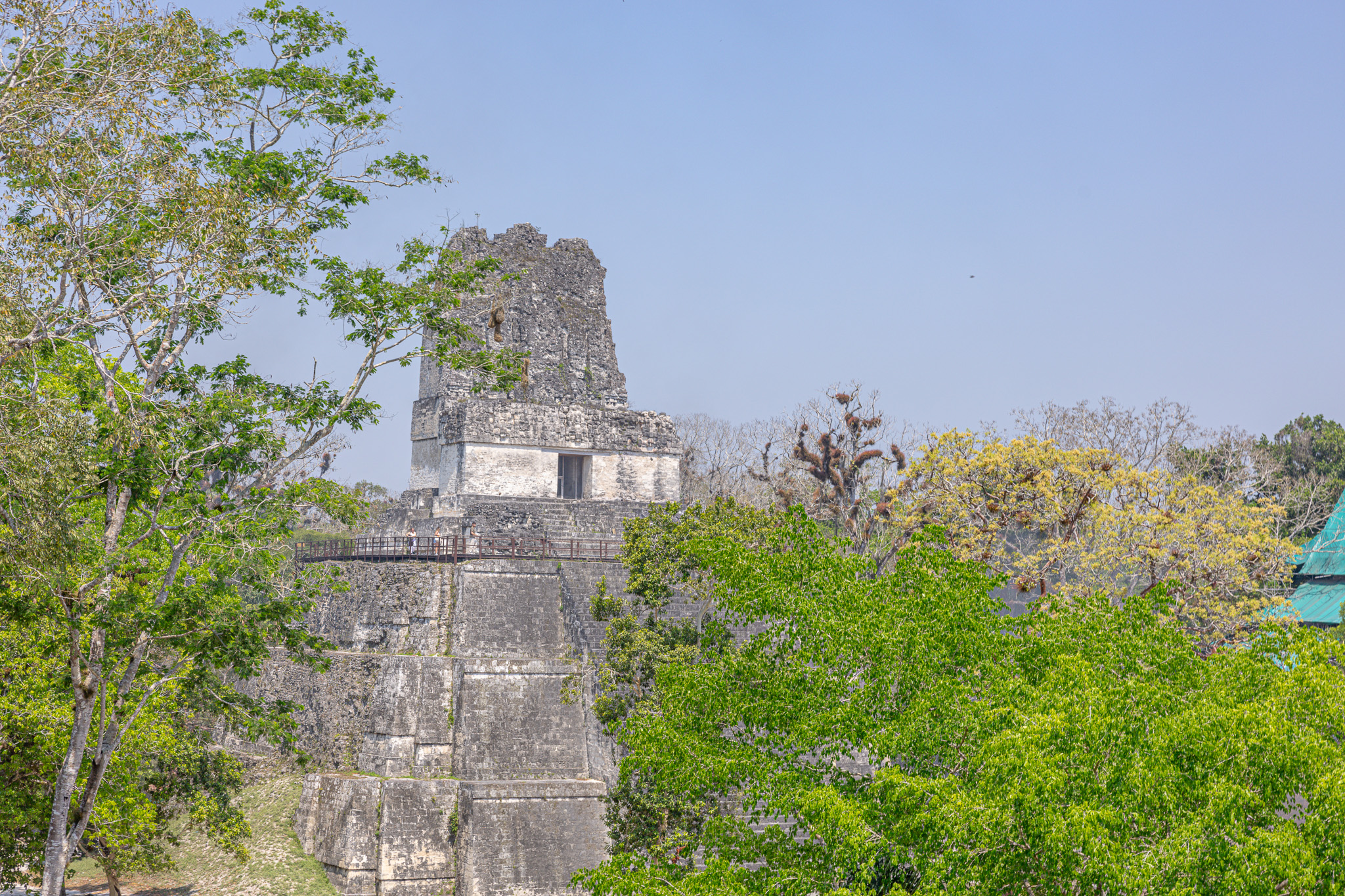 Tikal Maya Site Tour