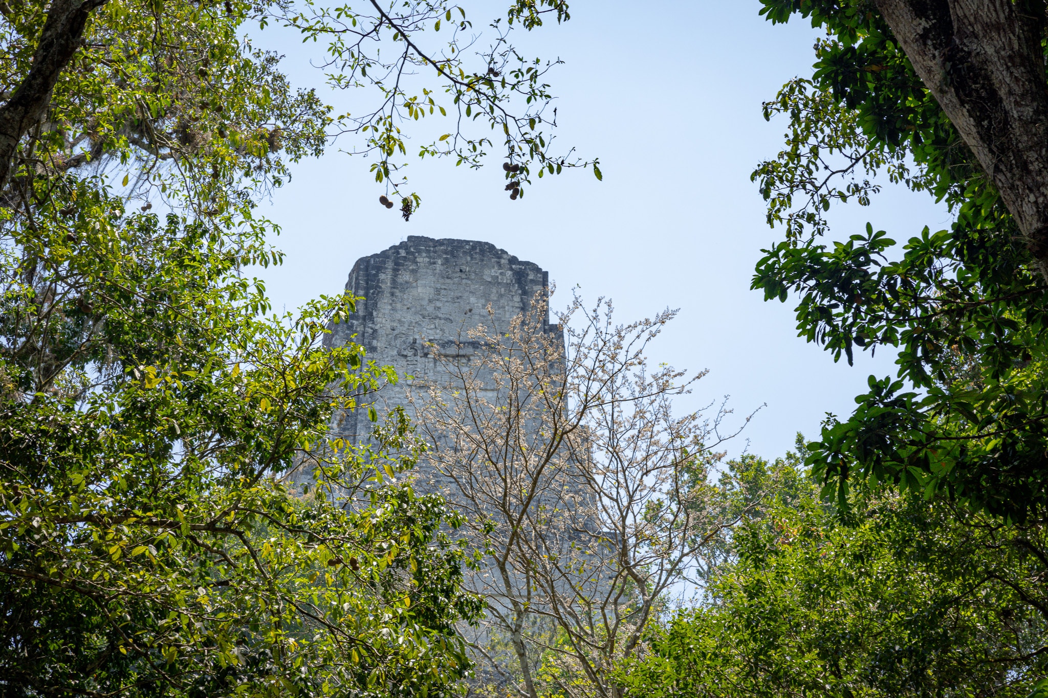 Belize Maya Site Tour