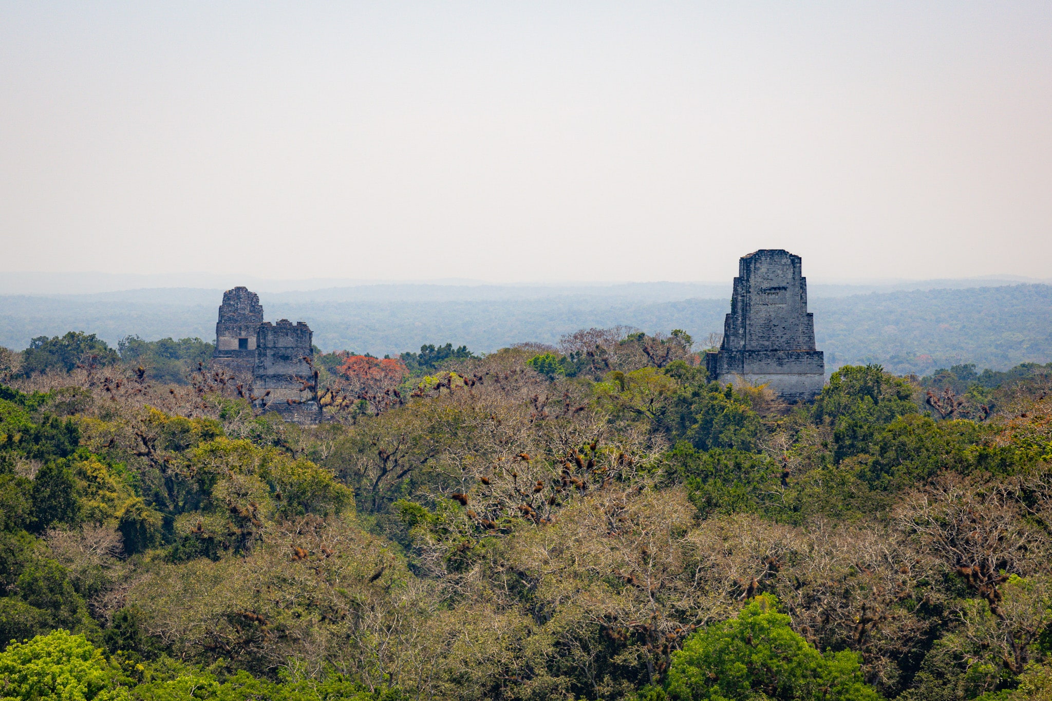 Belize Maya Site Tour