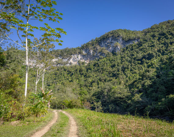 Birding tours in Belize