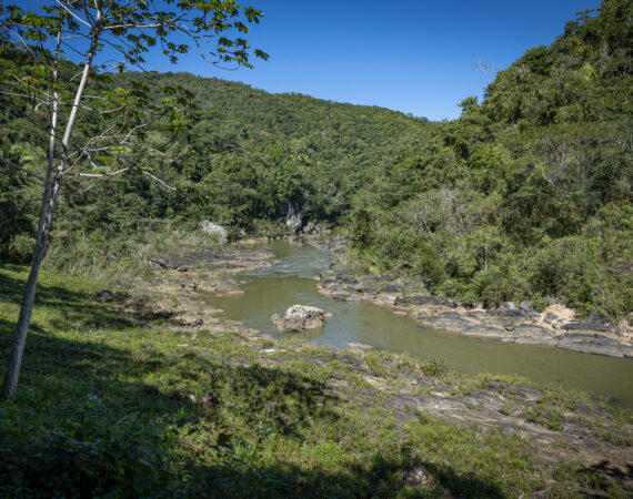 Birding tours in Belize