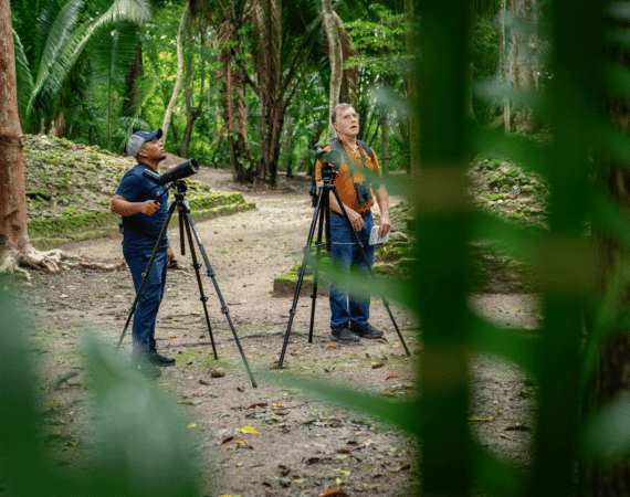 Birding Tour San Ignacio