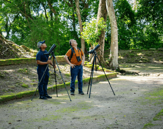 Birding in Cahal Pech