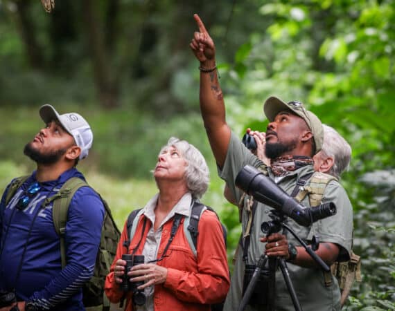 Belize Birding Tour