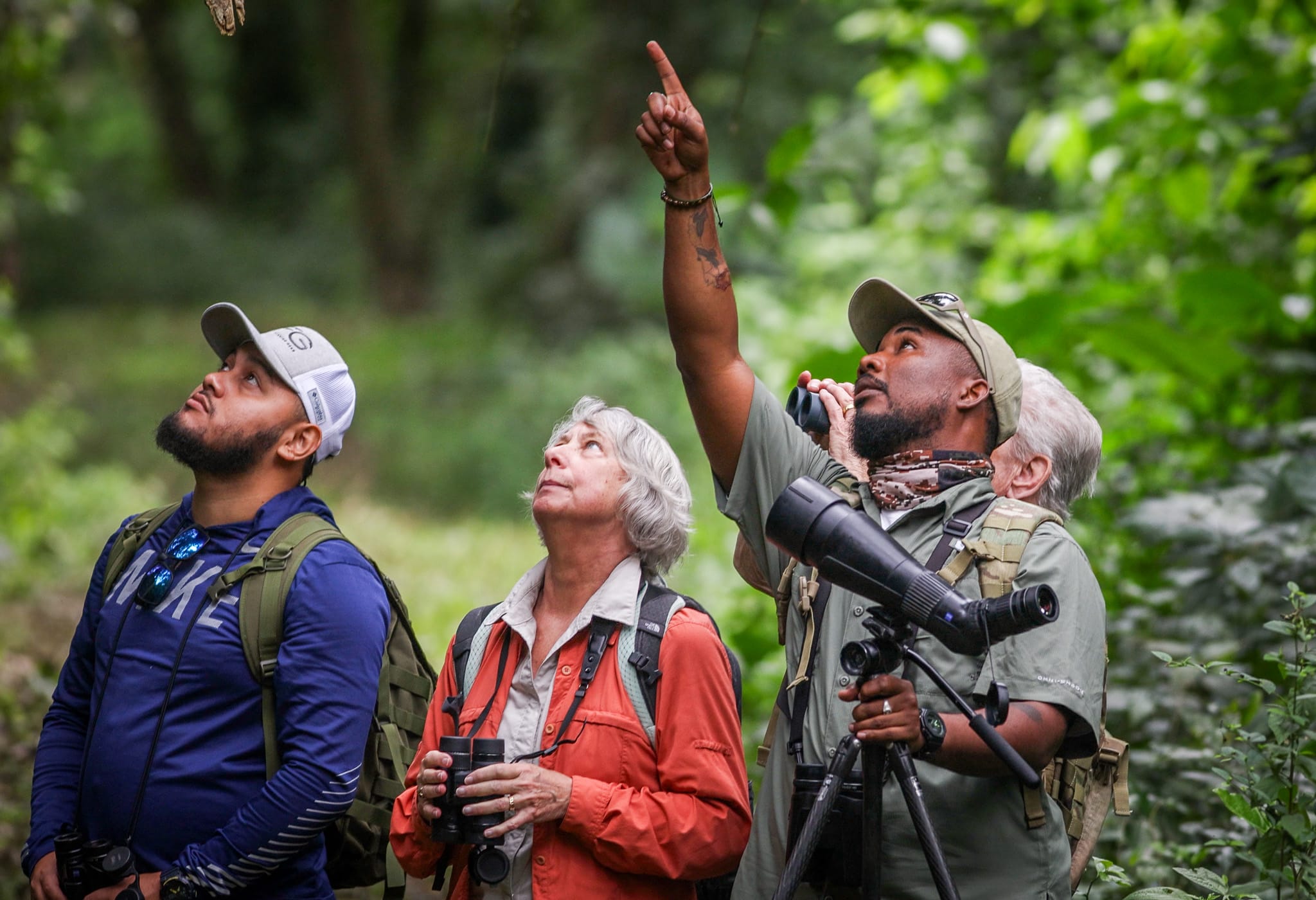 Belize Birding Tour