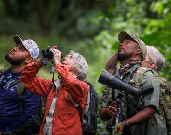 Belize Birding Tour